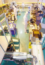 徐州民营经济集群发展 以管理创新驱动转型升级